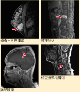�Ϯ��y�v扫�y仪